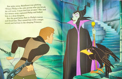 Disney Read Along Story Combo 3 (5 Books)
