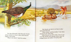 Little Animal Adventure Combo (6 Books)