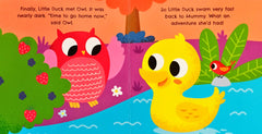Little Duck