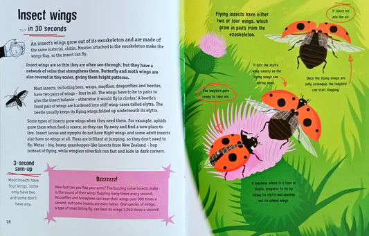 Insects in 30 Seconds