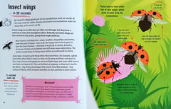 Insects in 30 Seconds