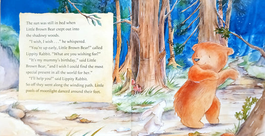 Little Bear Special Wish