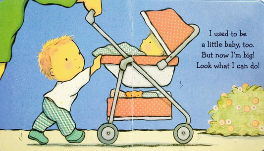 I am a Big Brother!