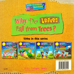 Why do Leaves Fall from Tree?