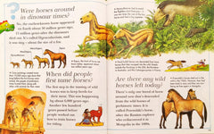 I Wonder Why Combo 11 (3 Books)