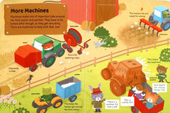 Farm (Flap Book)