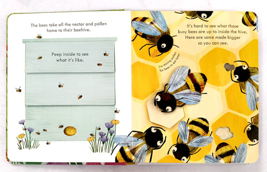 Usborne Peep inside A Beehive (Flap Book)