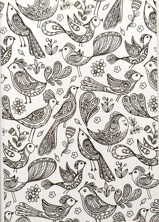 Kaleidoscope Colouring Megnificent Creatures and More