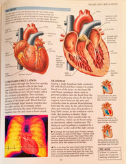 kingfisher Science Encyclopedia Combo 3 (4 Books)