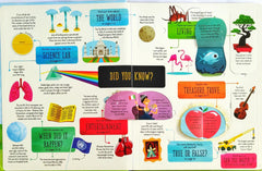 Usborne General Knowledge (Flap Book)