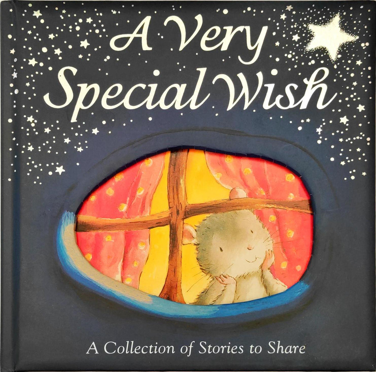 A Very Special Wish