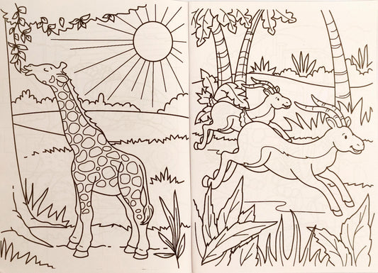 Colouring Book (Orange Book)