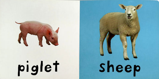 Farm (Board Book)
