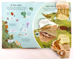 Usborne See inside Evolution (Flap Book)
