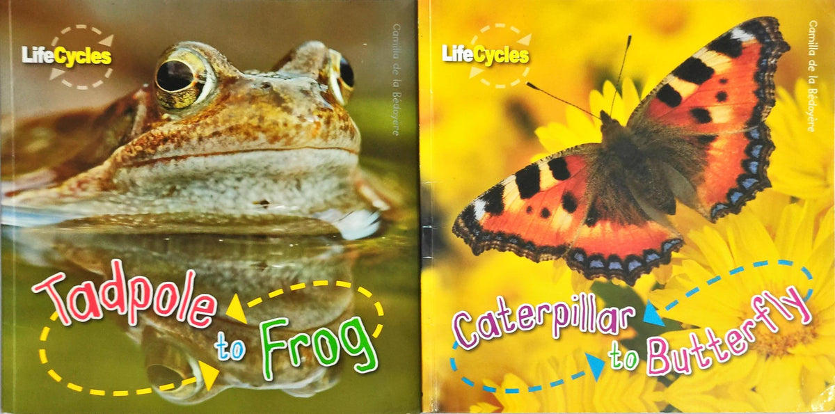 Life Cycles Combo Set 4 (2 Books)