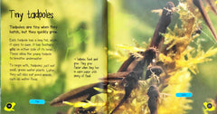 Life Cycles Combo Set 4 (2 Books)