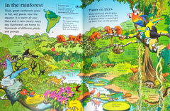 Usborne Little Encyclopedia Combo (5 Books)