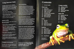 Usborne Little Encyclopedia Combo (5 Books)