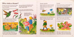 Usborne Starting Point Science Combo (2 Books)