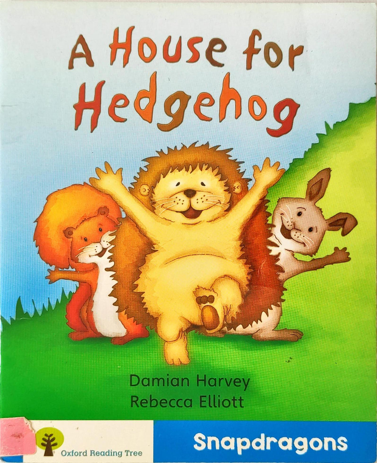A House for Hedgehog