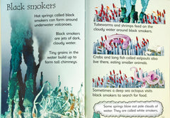 Usborne Begineers Combo 2 (3 Books/Hc)