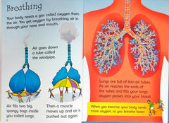 Usborne Begineers Combo 3 (3 Books/Hc)