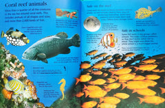 Usborne Little Encyclopedia Combo 2 (2 Books)