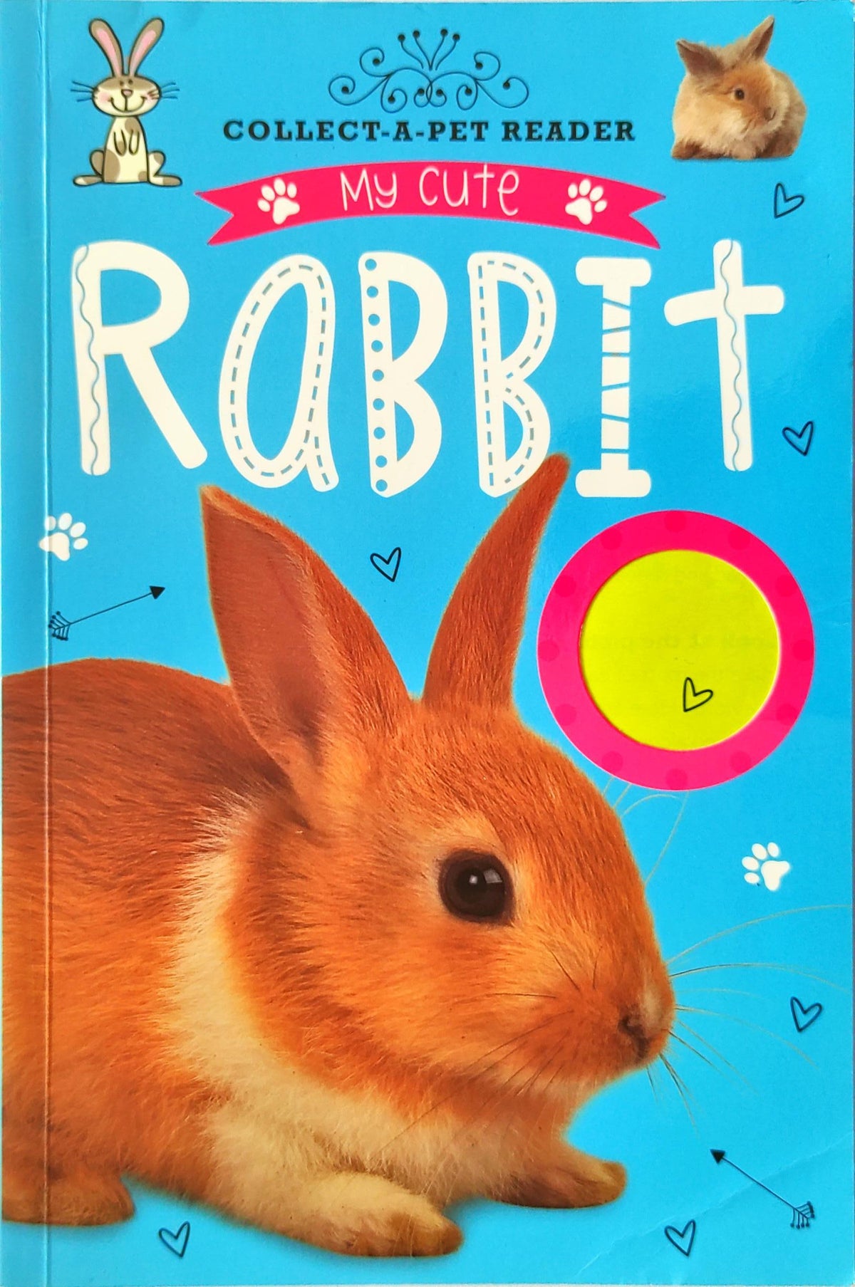 My Cute Rabbit