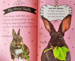 My Cute Rabbit