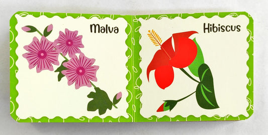 My First book of Flowers