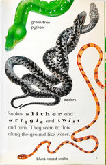 Snakes (Wild Reads)