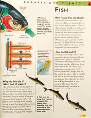Kingfisher Encyclopedia of Questions and Answers