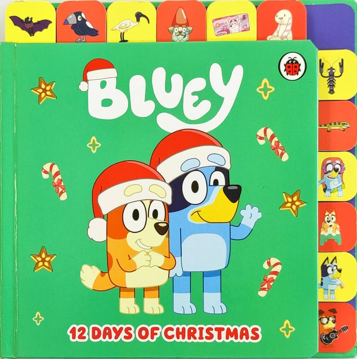 Bluey 12 Days of Christmas