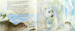 Baby Seal All Alone