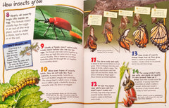 100 Facts Combo 2 (2 Books)
