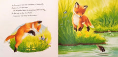 Storybook Combo Set 121 (3 Books)