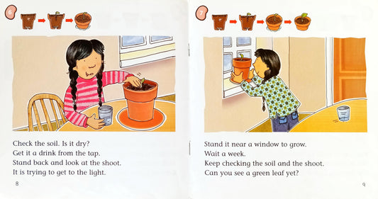 Big Cat Combo Set 2 (2 Books)