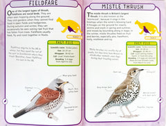 Spot 50 Combo Set 2 (5 Books)