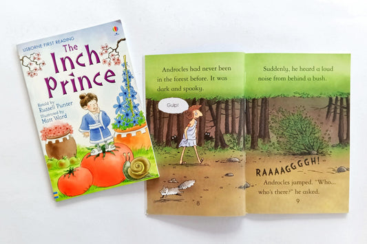 Usborne First Reading Combo Set 4 (2 Books)
