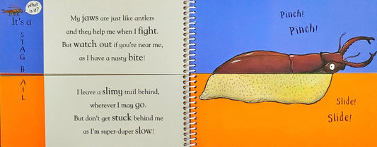 Flip Flap Minibeasts