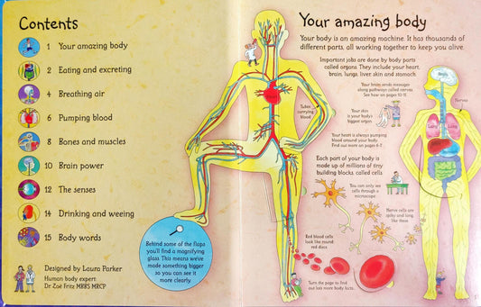 Usborne See Inside Your Body (With Over 50 Flap)
