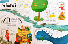 Usborne Lift the Flap Questions and Answers (With Over 60 Flap)
