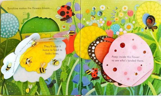 Usborne Peep Inside The Garden