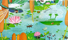 Usborne Peep Inside The Garden
