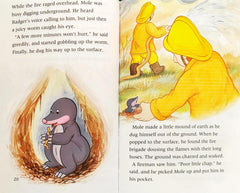 Fire! The Animals of Farthing Wood