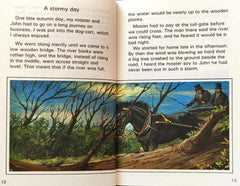 Black Beauty (Ladybird Childrens Classics)