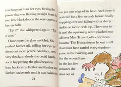 Roald Dahl Magical Mischief