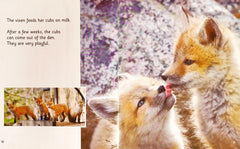 Foxes