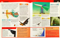 Miles Kelly What About Combo Set (4 Books)