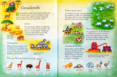 Usborne Children's Picture Atlas